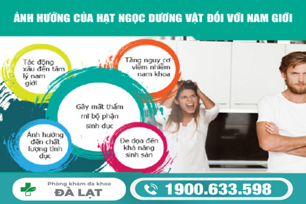 Hình ảnh minh họa